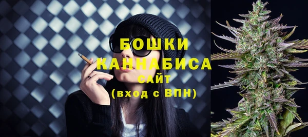молекула духа Зеленодольск