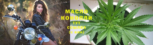 молекула духа Зеленодольск